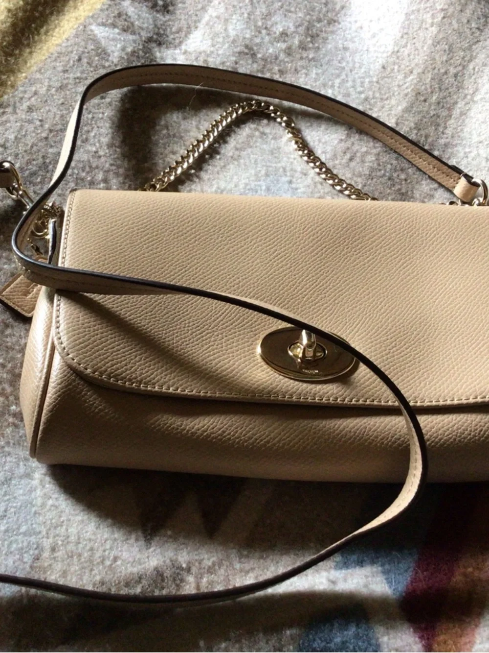 COACH / Beige Mini Ruby Leather Crossbody Bag with Gold Chain & Leather Strap - Picture 6 of 14